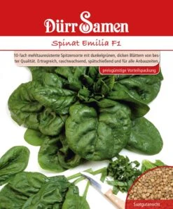 Spinat Emilia F1 250 G | Spinatsamen Von Dürr Samen