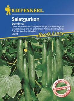 Deutschland Grün Paradies Verkaufs-Shop 6 Salatgurke Dominica F1 | Salatgurkensamen Von Kiepenkerl