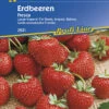 Erdbeere Fresca | Erdbeersamen Von Kiepenkerl