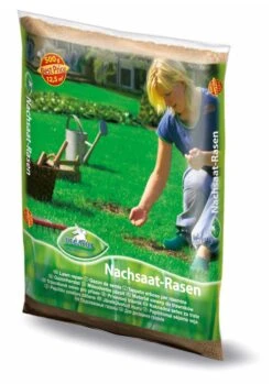 Pegasus Nachsaat (500 G) | Rasensamen Von Pegasus