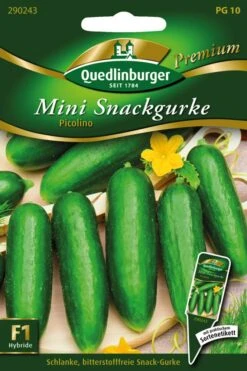 Mini-Snackgurken Picolino | Minigurkensamen Von Quedlinburger