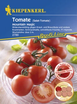 Tomate Mountain Magic | Tomatensamen Von Kiepenkerl