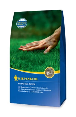 Schatten - Rasen (2 Kg) | Schattenrasen Von Kiepenkerl