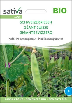 Zuckererbse Schweizer Riesen | BIO Zuckererbsensamen Von Sativa Rheinau