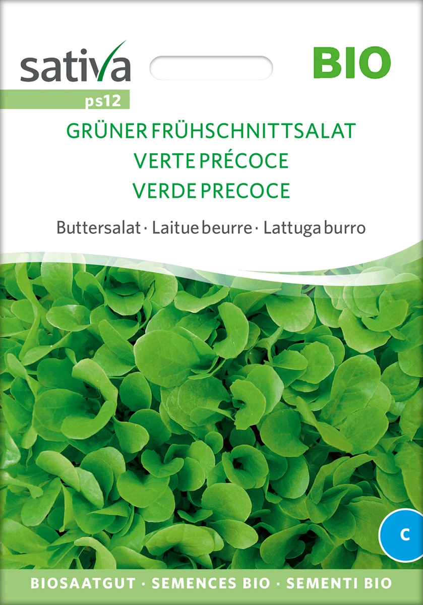 Buttersalat Frühschnittsalat Grüner | BIO Salatsamen Von Sativa Rheinau 1 Buttersalat Frühschnittsalat Grüner | BIO Salatsamen Von Sativa Rheinau