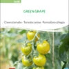 Cherrytomate Green Grape | BIO Kirschtomatensamenvon Sativa Rheinau