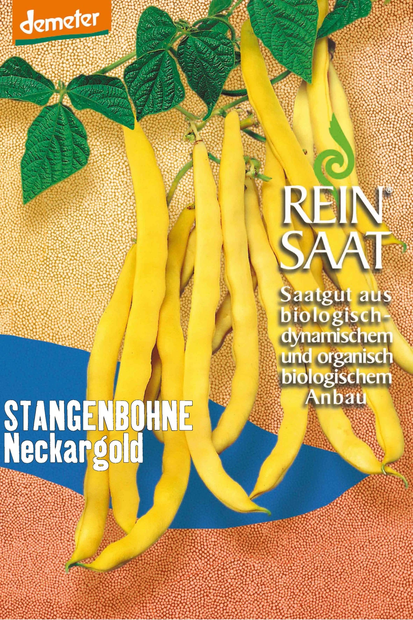 Stangenbohne Neckargold | BIO Stangenbohnensamen Von Reinsaat 1 Stangenbohne Neckargold | BIO Stangenbohnensamen Von Reinsaat