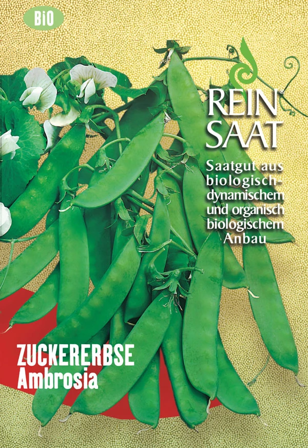 Zuckererbse Ambrosia | BIO Zuckererbsensamen Von Reinsaat 1 Zuckererbse Ambrosia | BIO Zuckererbsensamen Von Reinsaat