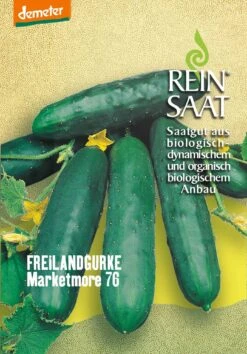 Feldgurke Marketmore 76 | BIO Freilandgurkensamen Von Reinsaat