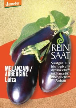 Aubergine Luiza | BIO Auberginensamen Von Reinsaat