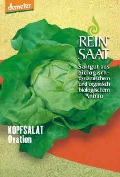 Kopfsalat Ovation | BIO Kopfsalatsamen Von Reinsaat