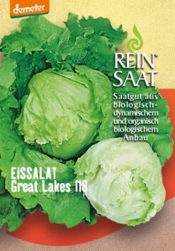 Eissalat Great Lakes | BIO Eissalatsamen Von Reinsaat
