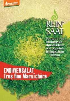 Endivie Tres Fine Maraichère | BIO Endiviensalatsamen Von Reinsaat