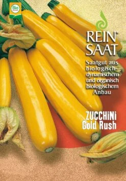 Zucchini Gold Rush | BIO Zucchinisamen Von Reinsaat