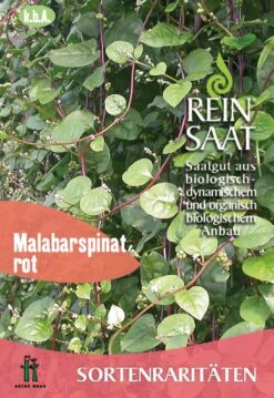 Malabarspinat | BIO Spinatsamen Von Reinsaat