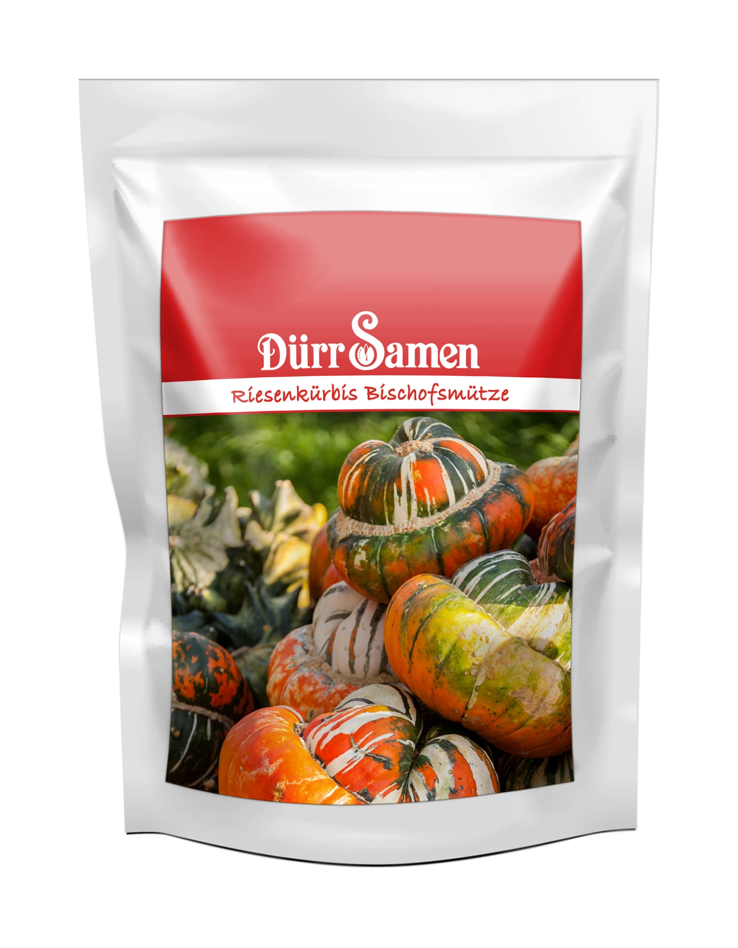 Riesenkürbis Bischofsmütze 100 Korn | Riesenkürbissamen Von Samenhaus 1 Riesenkürbis Bischofsmütze 100 Korn | Riesenkürbissamen Von Samenhaus