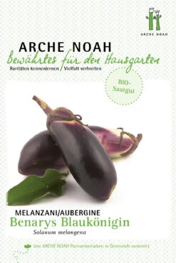 Aubergine Benarys Blaukönigin | BIO Auberginensamen Von Arche Noah