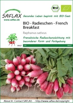 Radieschen French Breakfast | BIO Radieschensamen Von Saflax
