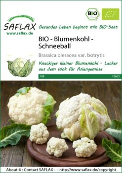 Blumenkohl Schneeball | BIO Blumenkohlsamen Von Saflax