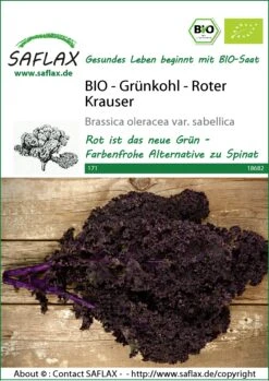 Grünkohl Roter Krauser | BIO Grünkohlsamen Von Saflax