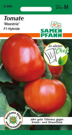 Deutschland Grün Paradies Verkaufs-Shop -Deutschland Grün Paradies Verkaufs-Shop 541852 Tomate Maestria F1 Hybride G866 sp 0
