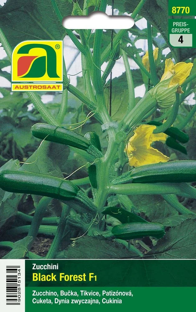 Zucchini Black Forest F1 | Zucchinisamen Von Austrosaat 2 Zucchini Black Forest F1 | Zucchinisamen Von Austrosaat – Bild 2