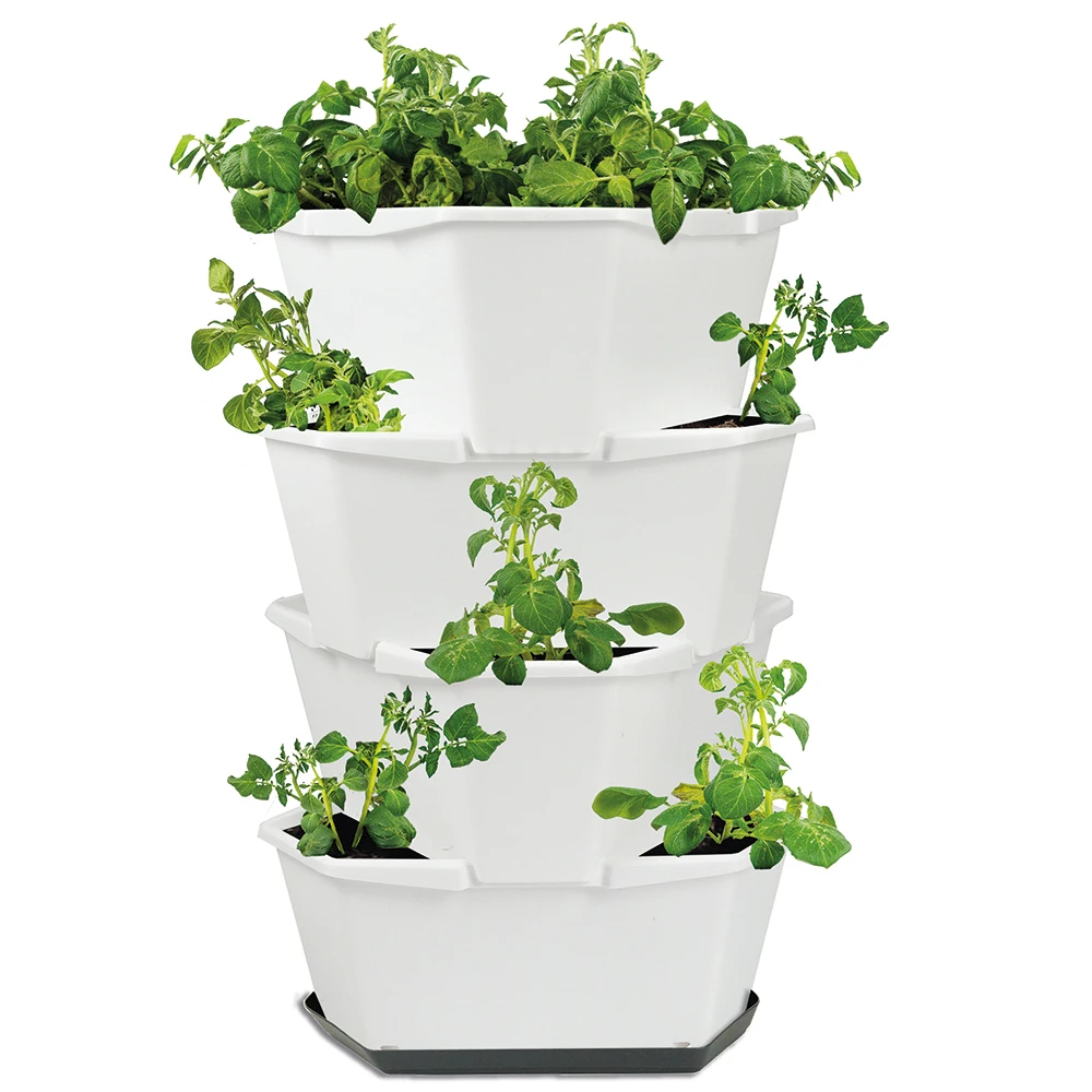 Paul Potato Kartoffelturm Starter Set Weiß (4 Etagen) | Kartoffeltürme Von Gusta Garden 1 Paul Potato Kartoffelturm Starter Set Weiß (4 Etagen) | Kartoffeltürme Von Gusta Garden