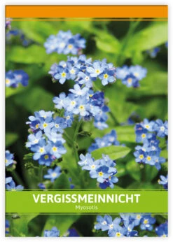 Vergissmeinnicht Für Werbezwecke (100 Tütchen) | Vergissmeinnichtsamen Von FLORTUS