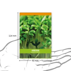 Einfache Kresse Für Werbezwecke (100 Tütchen) | Kressesamen Von FLORTUS