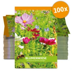 Blumenwiese Für Werbezwecke (100 Tütchen) | Blumensamen Von FLORTUS 6 Blumenwiese Für Werbezwecke (100 Tütchen) | Blumensamen Von FLORTUS -Deutschland Grün Paradies Verkaufs-Shop 543608 Blumenwiese fuer Werbezwecke 100 Tuetchen W5190 100x 0
