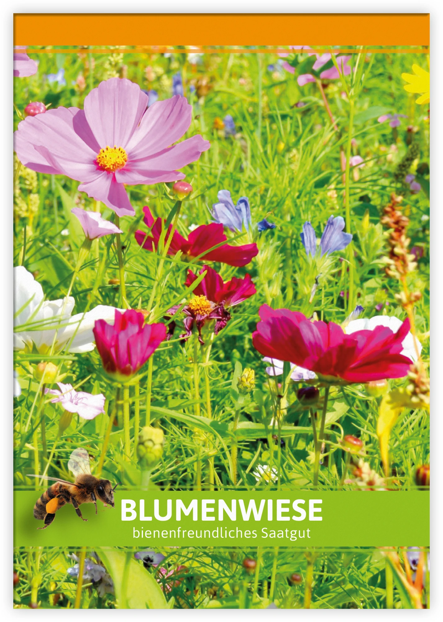 Blumenwiese Für Werbezwecke (100 Tütchen) | Blumensamen Von FLORTUS 4 Blumenwiese Für Werbezwecke (100 Tütchen) | Blumensamen Von FLORTUS – Bild 4