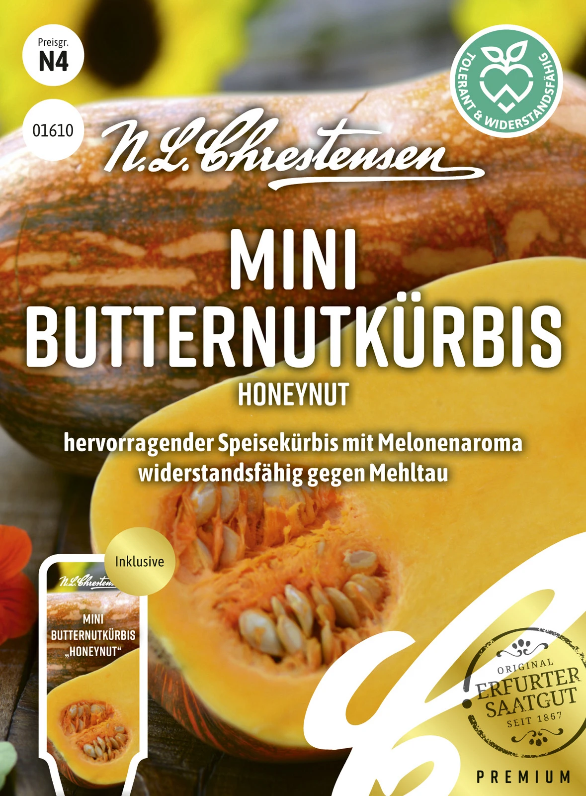 Mini Butternutkürbis Honeynut | Butternutkürbissamen Von N.L. Chrestensen 2 Mini Butternutkürbis Honeynut | Butternutkürbissamen Von N.L. Chrestensen – Bild 2