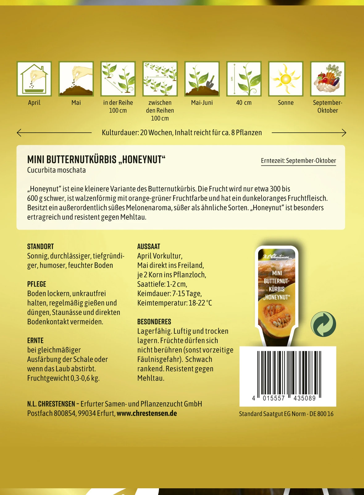 Mini Butternutkürbis Honeynut | Butternutkürbissamen Von N.L. Chrestensen 1 Mini Butternutkürbis Honeynut | Butternutkürbissamen Von N.L. Chrestensen