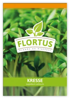 Kresse (100 Tütchen) | Kressesamen Von FLORTUS -Deutschland Grün Paradies Verkaufs-Shop 543938 Kresse 100 Tuetchen 1