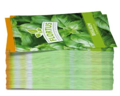 Basilikum (100 Tütchen) | Basilikumsamen Von FLORTUS