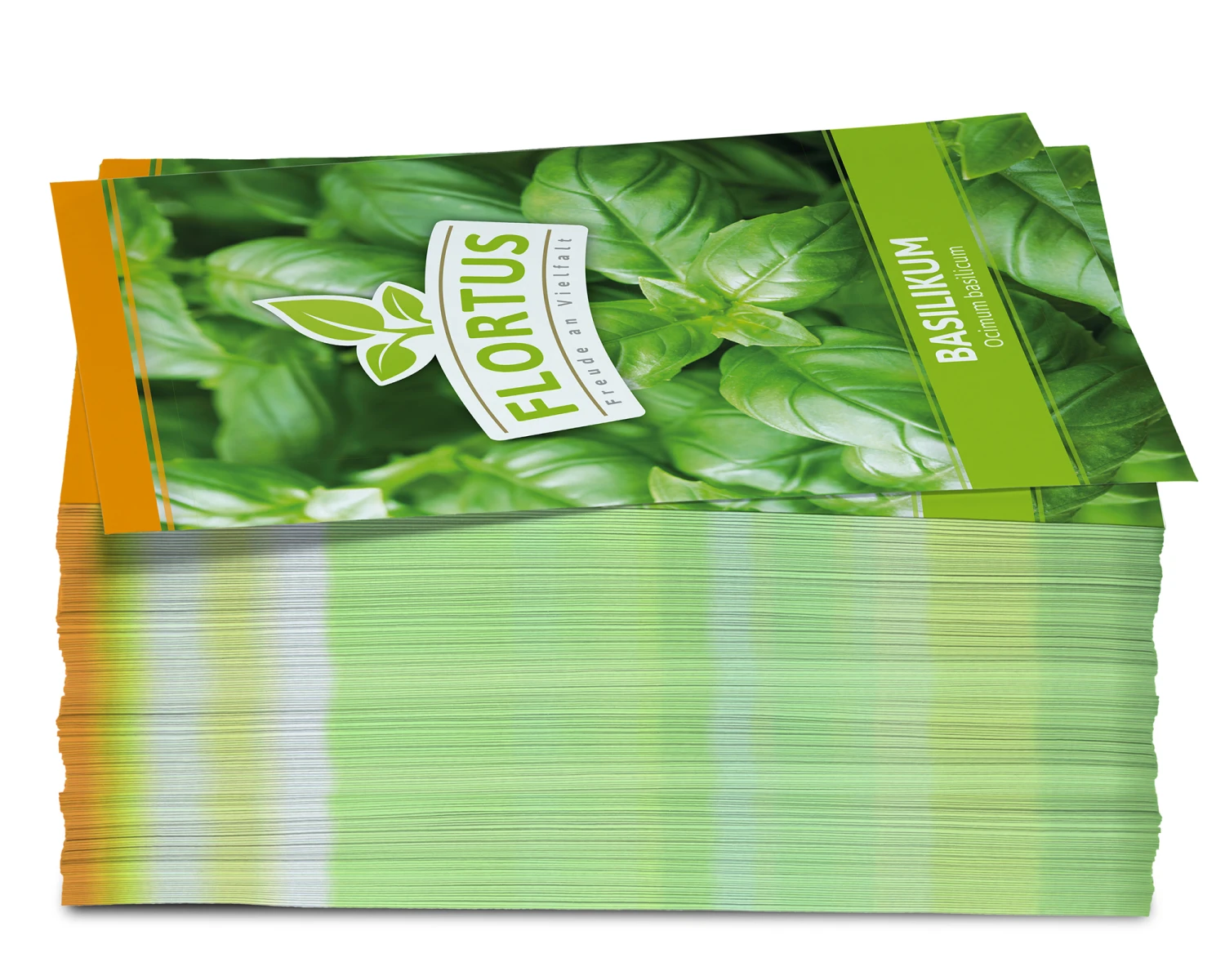 Basilikum (100 Tütchen) | Basilikumsamen Von FLORTUS 1 Basilikum (100 Tütchen) | Basilikumsamen Von FLORTUS