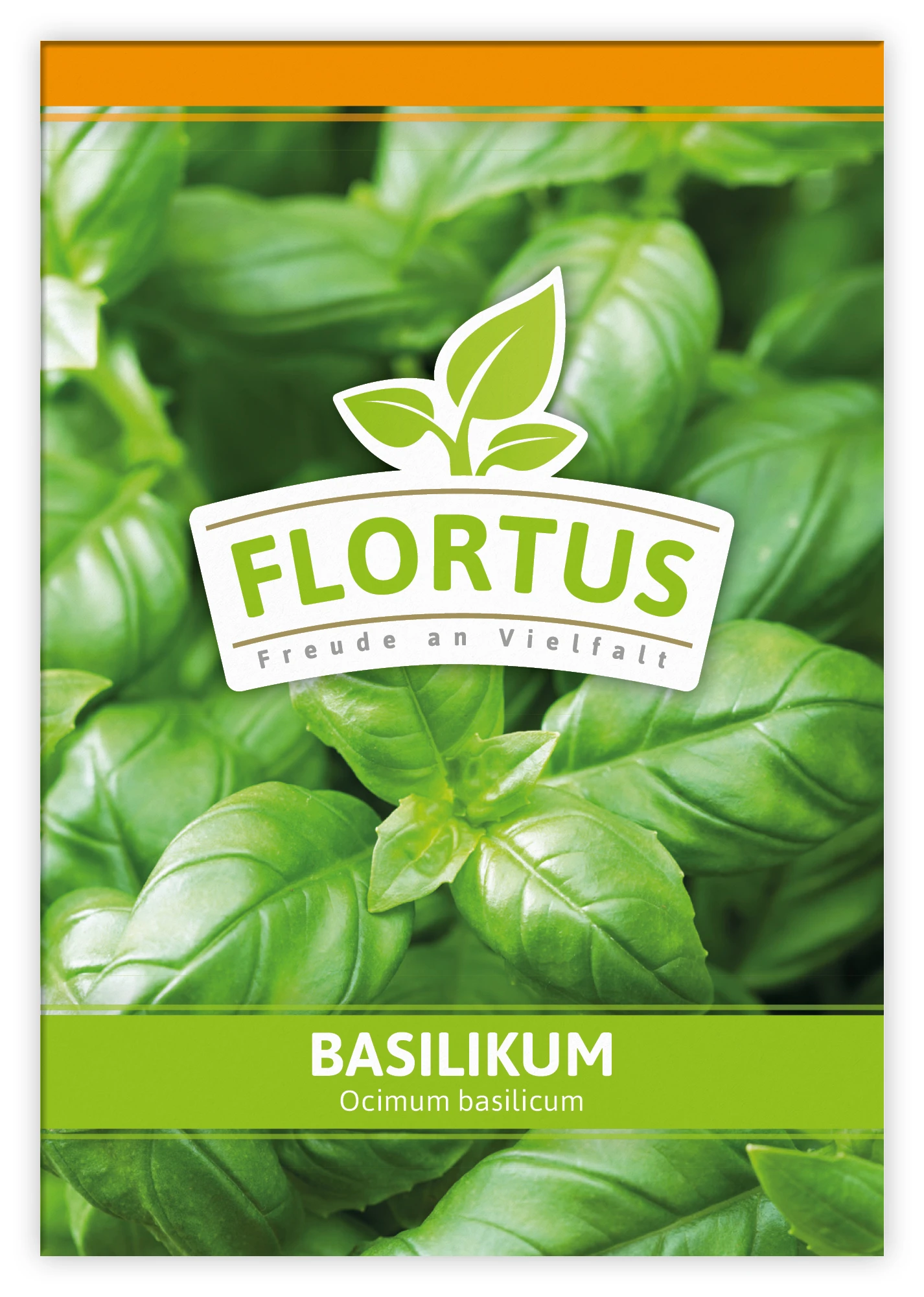 Basilikum (100 Tütchen) | Basilikumsamen Von FLORTUS 2 Basilikum (100 Tütchen) | Basilikumsamen Von FLORTUS – Bild 2