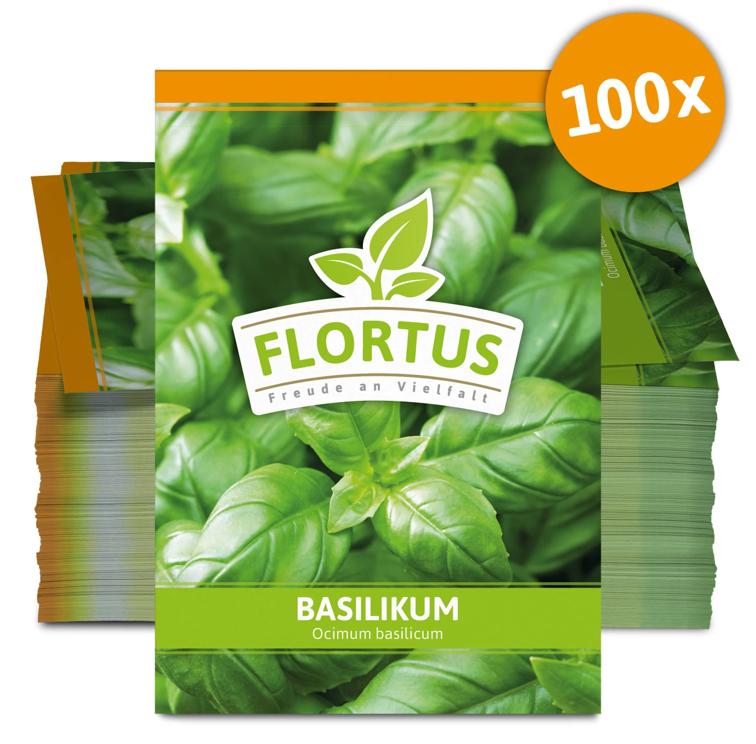 Basilikum (100 Tütchen) | Basilikumsamen Von FLORTUS 3 Basilikum (100 Tütchen) | Basilikumsamen Von FLORTUS – Bild 3