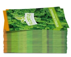 Petersilie Mooskrause (100 Tütchen) | Petersiliesamen Von FLORTUS -Deutschland Grün Paradies Verkaufs-Shop 543959 Petersilie Mooskrause 100 Tuetchen