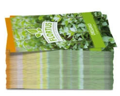 Oregano (100 Tütchen) | Oreganosamen Von FLORTUS -Deutschland Grün Paradies Verkaufs-Shop 543963 Oregano 100 Tuetchen