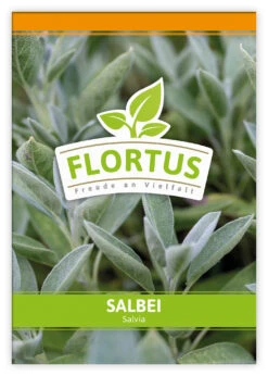 Salbei (100 Tütchen) | Salbeisamen Von FLORTUS -Deutschland Grün Paradies Verkaufs-Shop 543971 Salbei 100 Tuetchen 1