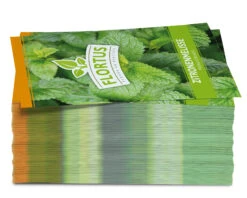 Zitronenmelisse (100 Tütchen) | Melissensamen Von FLORTUS