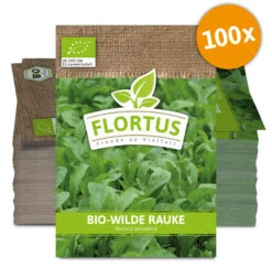 Wilde Rauke (100 Tütchen) | BIO Wilde Raukesamen Von FLORTUS -Deutschland Grün Paradies Verkaufs-Shop 543977 Bio Wilde Rauke 100 Tuetchen 3