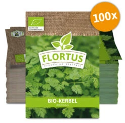Kerbel (100 Tütchen) | BIO Kerbelsamen Von FLORTUS