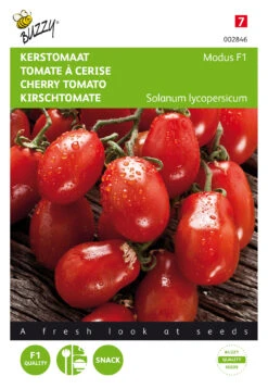 Tomaten Modus F1 | Tomatensamen Von Buzzy Seeds [MHD 07/2024]