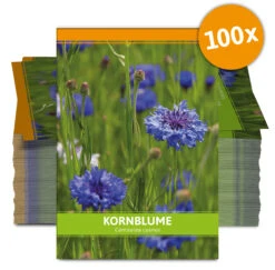 Kornblume Für Werbezwecke (100 Tütchen) | Kornblumensamen Von FLORTUS