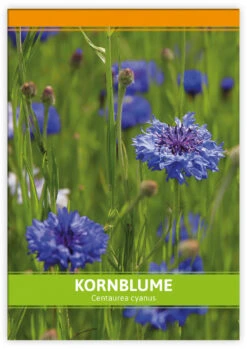 Kornblume Für Werbezwecke (100 Tütchen) | Kornblumensamen Von FLORTUS -Deutschland Grün Paradies Verkaufs-Shop 546518 Kornblume fuer Werbezwecke 100 Tuetchen 1