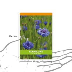 Kornblume Für Werbezwecke (100 Tütchen) | Kornblumensamen Von FLORTUS -Deutschland Grün Paradies Verkaufs-Shop 546518 Kornblume fuer Werbezwecke 100 Tuetchen 3