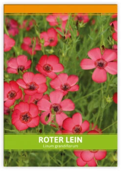 Roter Lein Für Werbezwecke (100 Tütchen) | Leinsamen Von FLORTUS -Deutschland Grün Paradies Verkaufs-Shop 546522 Roter Lein fuer Werbezwecke 100 Tuetchen 1