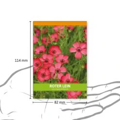 Roter Lein Für Werbezwecke (100 Tütchen) | Leinsamen Von FLORTUS -Deutschland Grün Paradies Verkaufs-Shop 546522 Roter Lein fuer Werbezwecke 100 Tuetchen 3